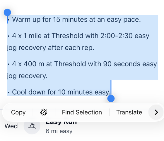Workout text selected on a website, with the iOS text menu showing the chevron button